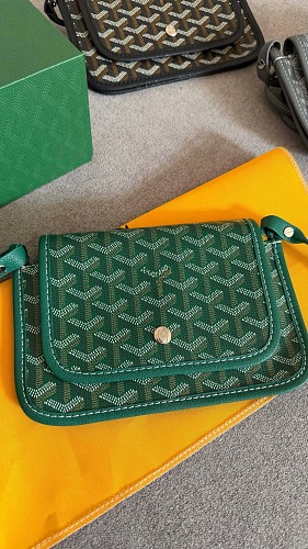 Goyard ZT12306