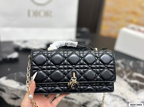 DIOR ZT13155
