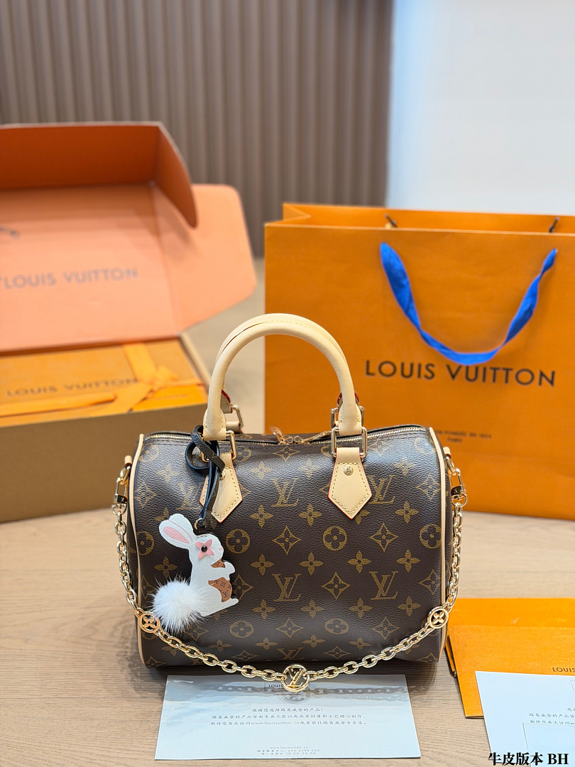 Louis Vuitton Speedy Bandoulière 20 · ZT13661
