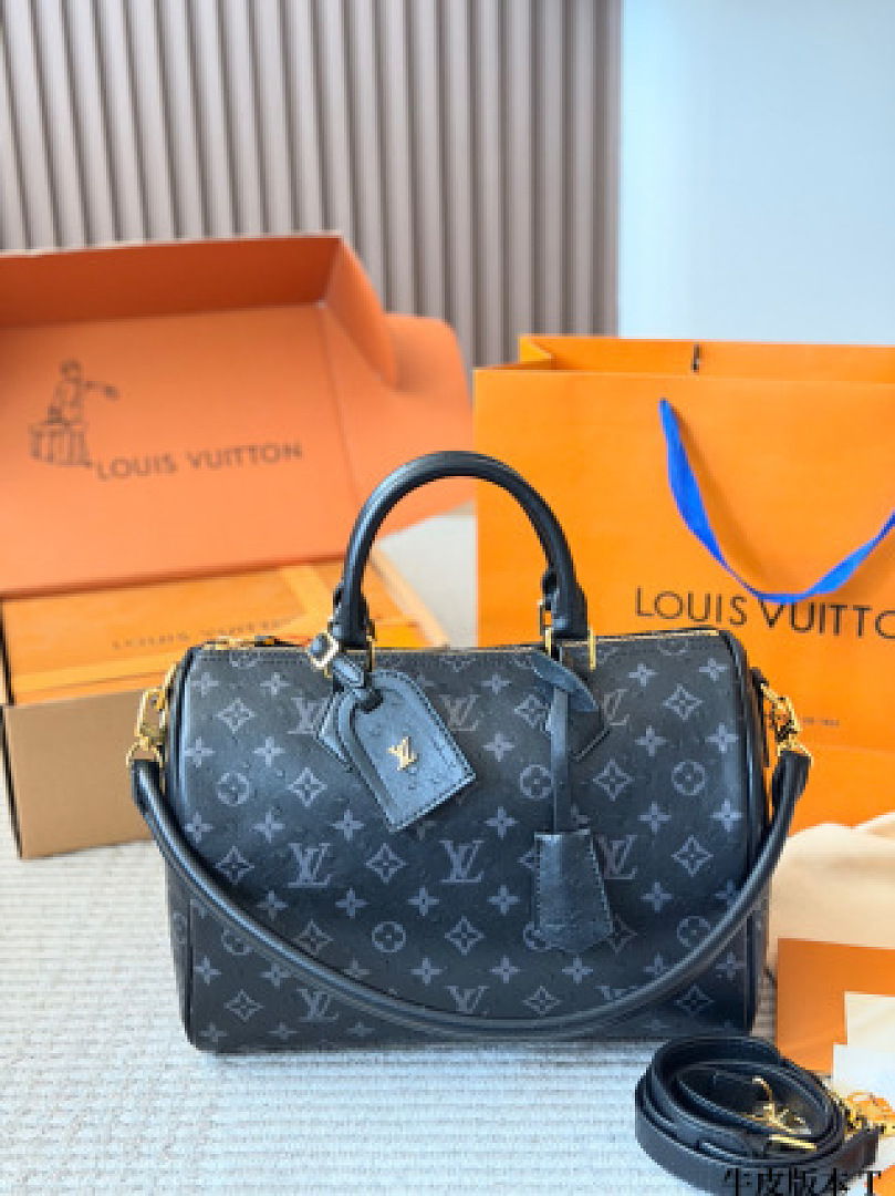 Louis Vuitton Speedy Bandoulière 25 · ZT13990