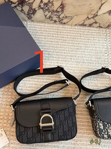 Dior Saddle Heritage Messenger · ZT13664