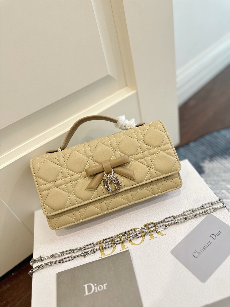 DIOR ZT12425