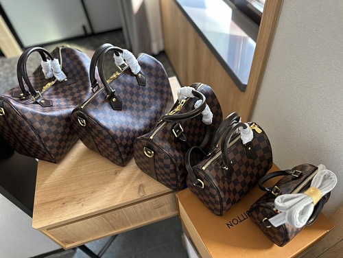 Louis Vuitton Speedy Bandoulière · ZT13758