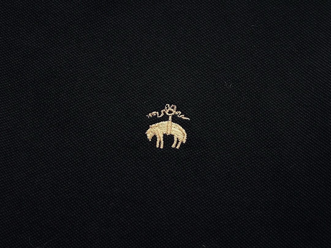 Brooks Brothers Golden Fleece Stretch Supima Polo · A3292 — תמונה 4