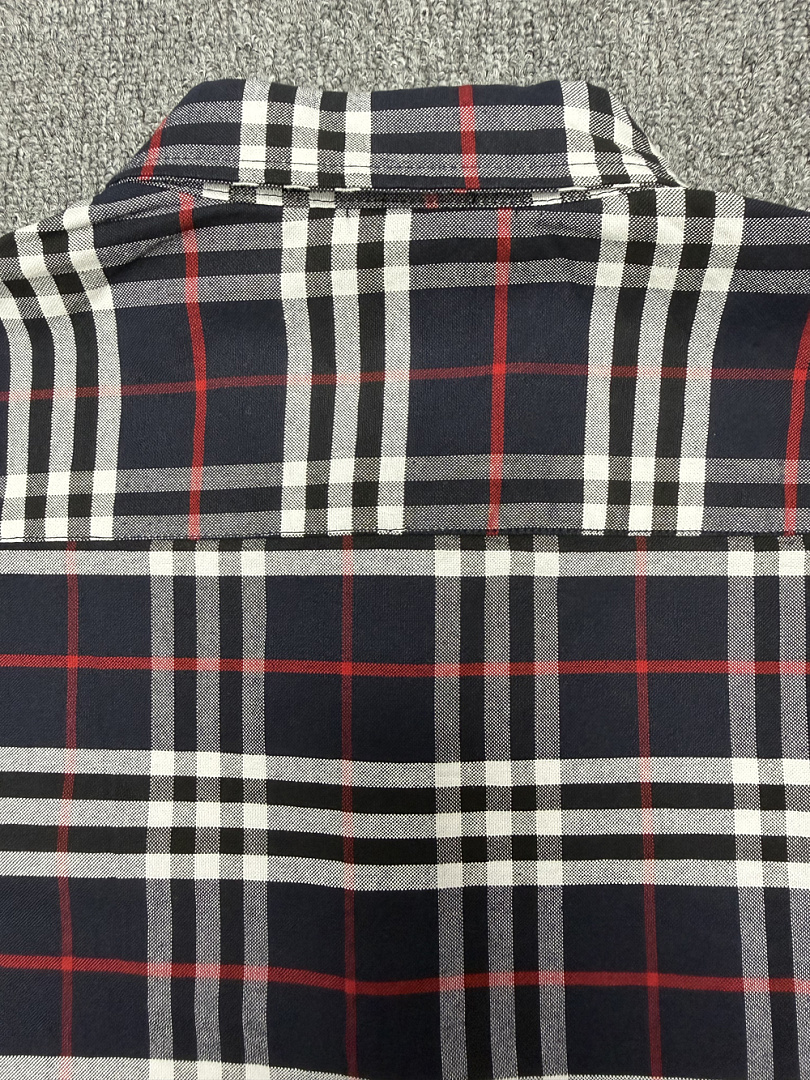 Burberry Simpson Checked Cotton Shirt · A3250 — תמונה 6
