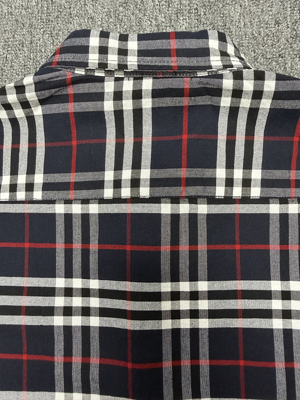 Burberry Simpson Checked Cotton Shirt · A3250 — תמונה 7