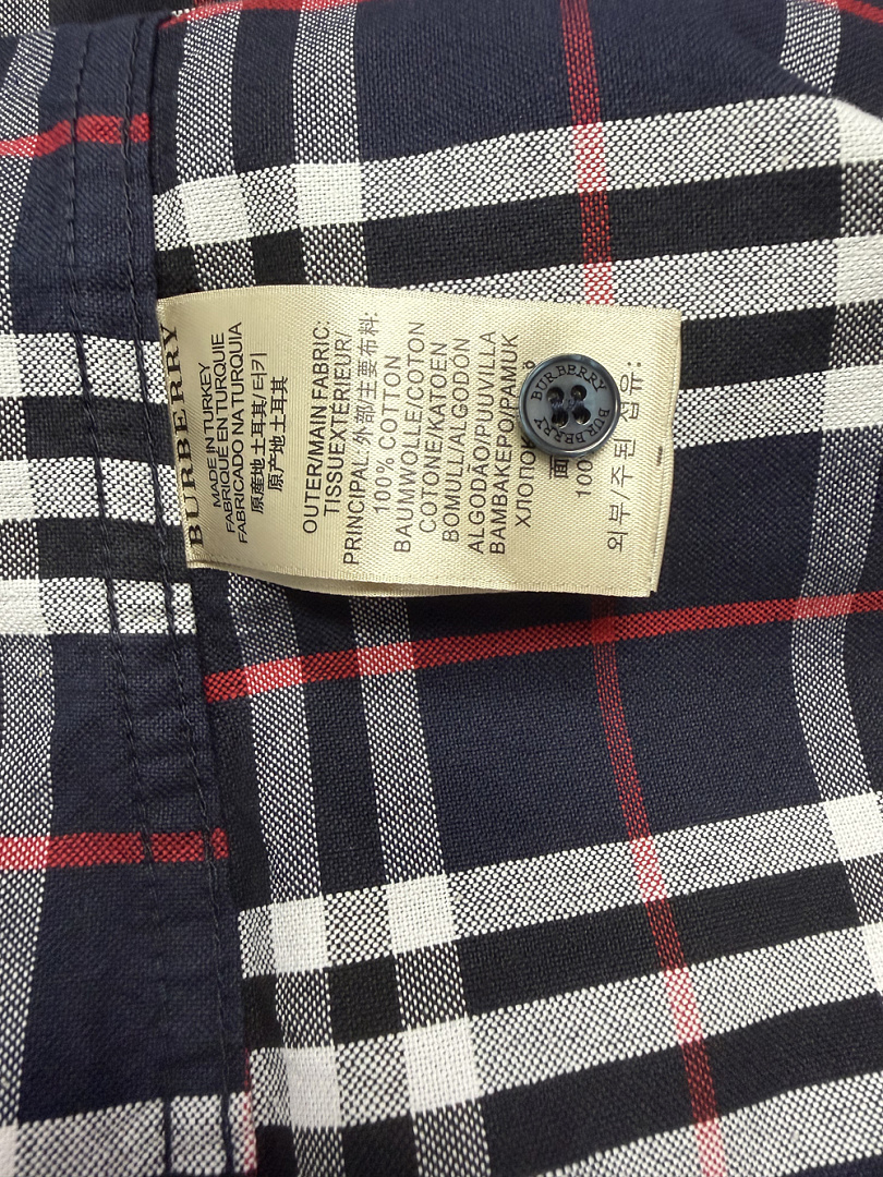 Burberry Simpson Checked Cotton Shirt · A3250 — תמונה 4