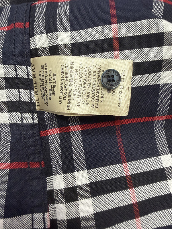 Burberry Simpson Checked Cotton Shirt · A3250 — תמונה 5