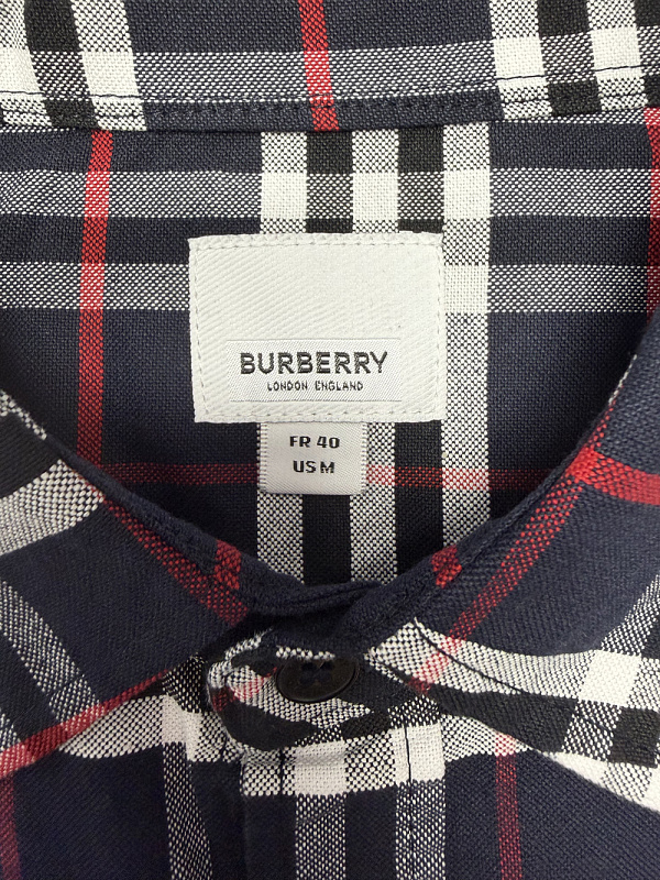 Burberry Simpson Checked Cotton Shirt · A3250 — תמונה 9