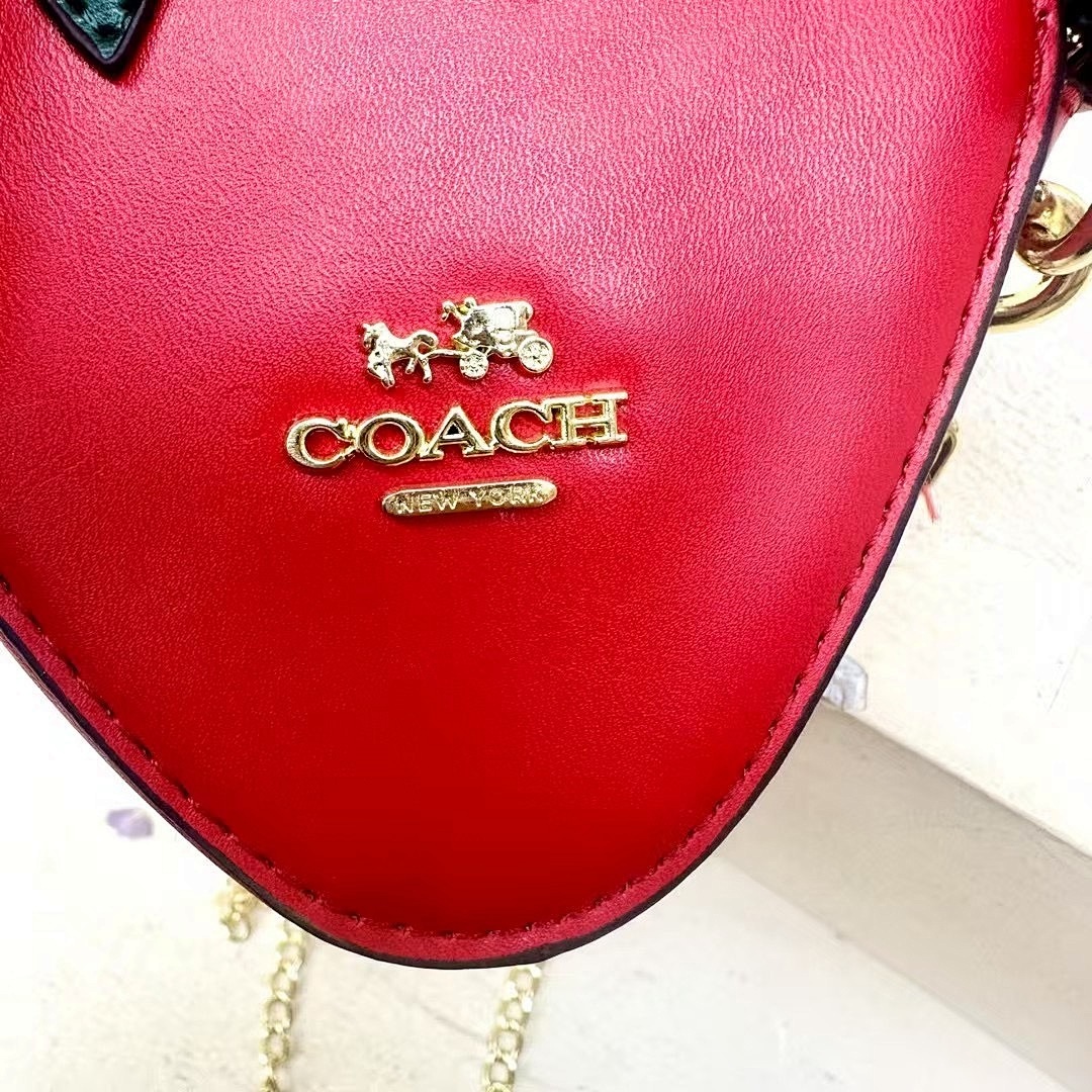 coach WC14134