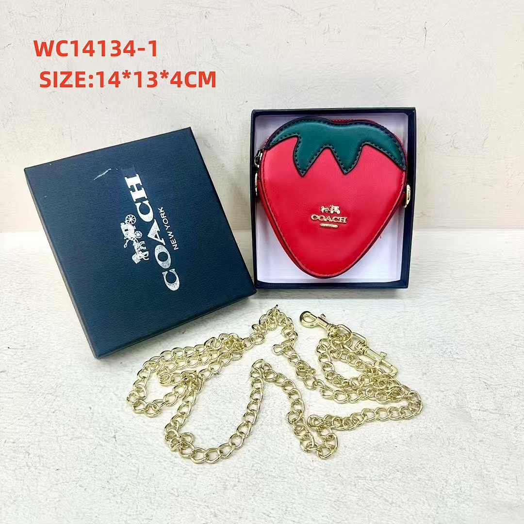 coach WC14134