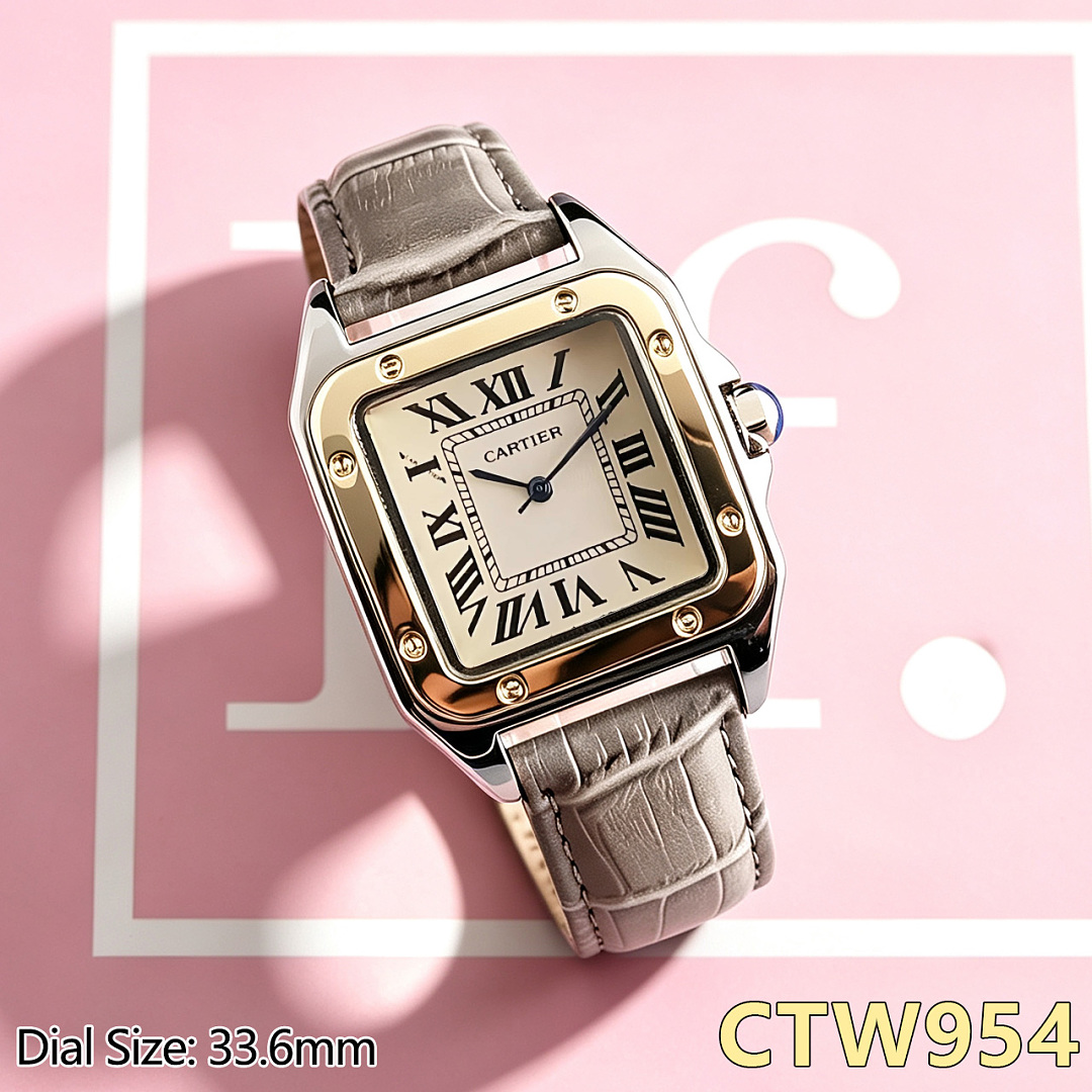 Cartier Santos 100 · CTW80 — תמונה 18