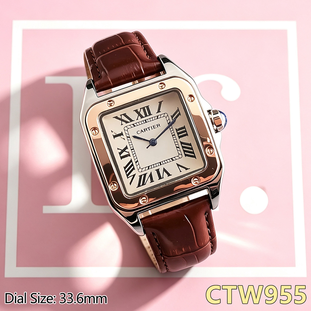 Cartier Santos 100 · CTW80 — תמונה 19