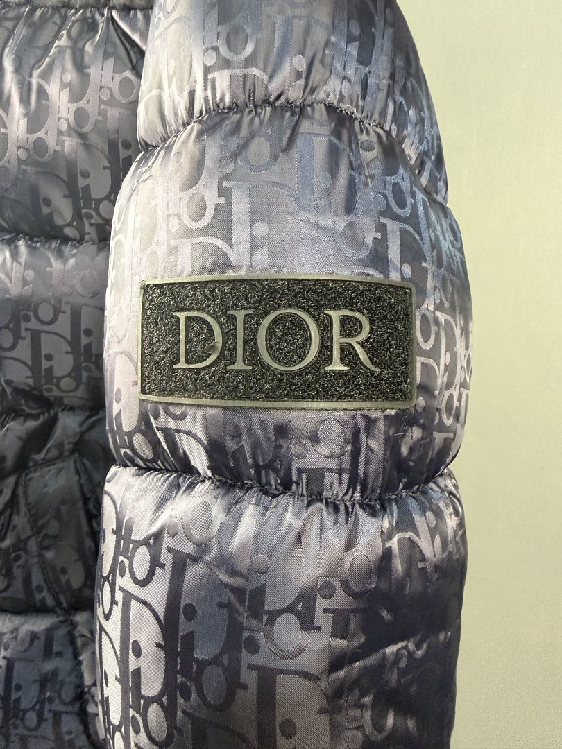Dior Oblique Down Jacket · ZT14015 — תמונה 10