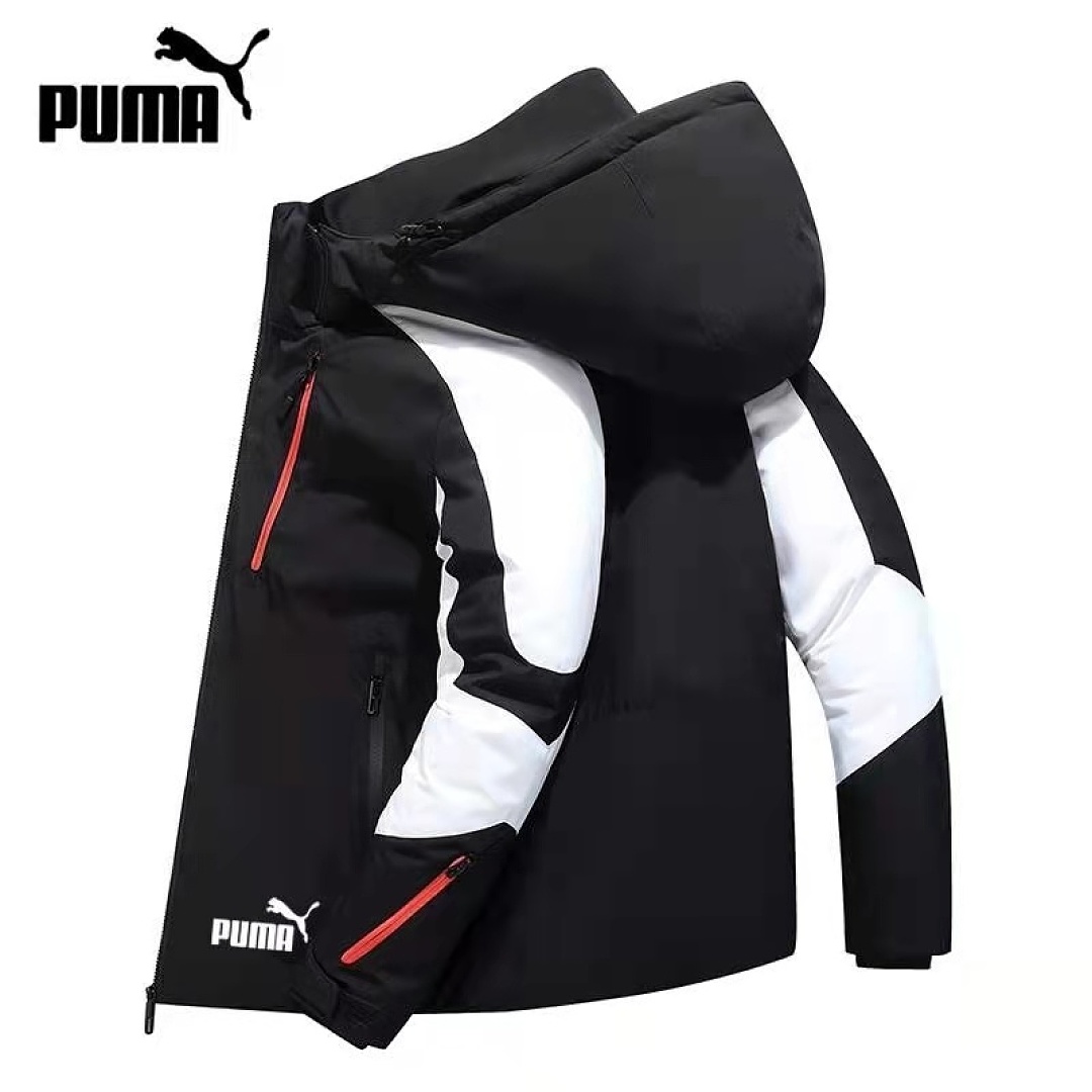 Puma — מעיל ג'קט · ZT13783 — תמונה 4
