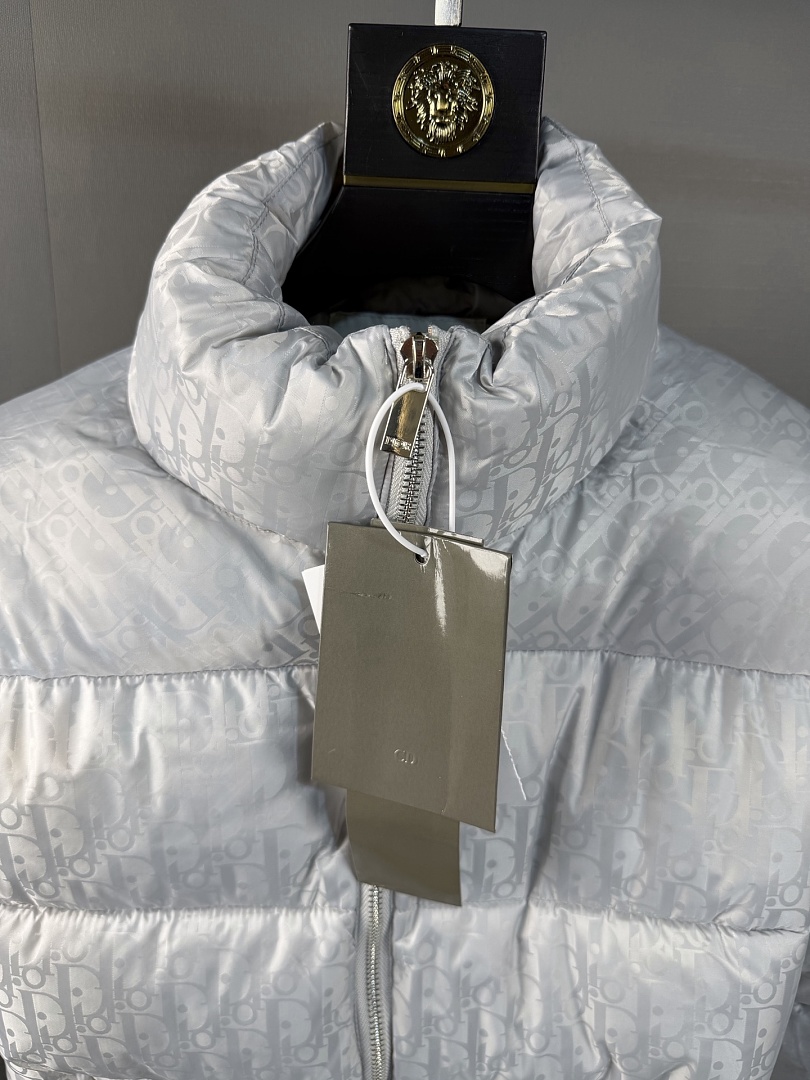 Dior Oblique Down Jacket · ZT14015 — תמונה 16