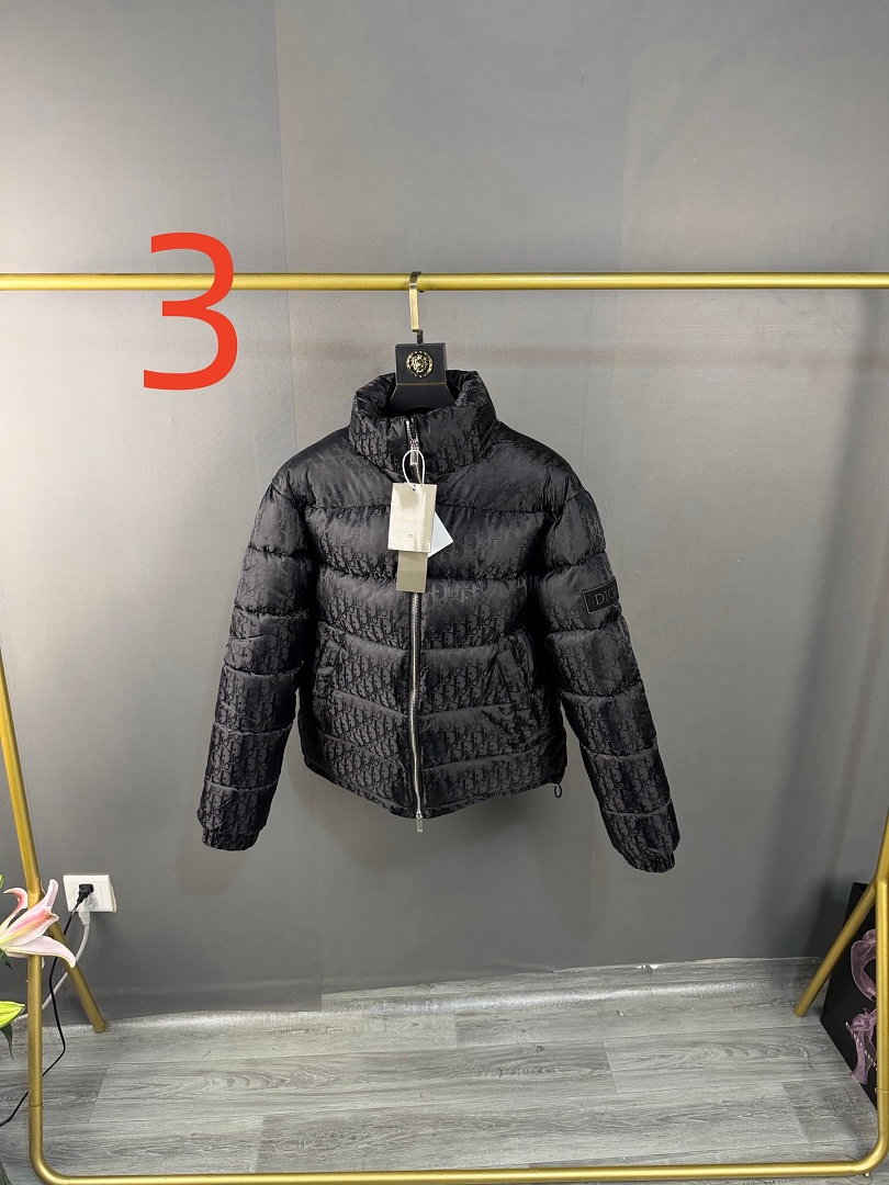 Dior Oblique Down Jacket · ZT14015