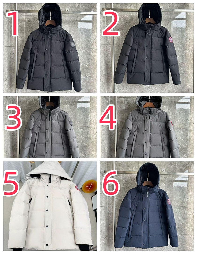 Canada Goose Wyndham Parka · ZT13895 — תמונה 2