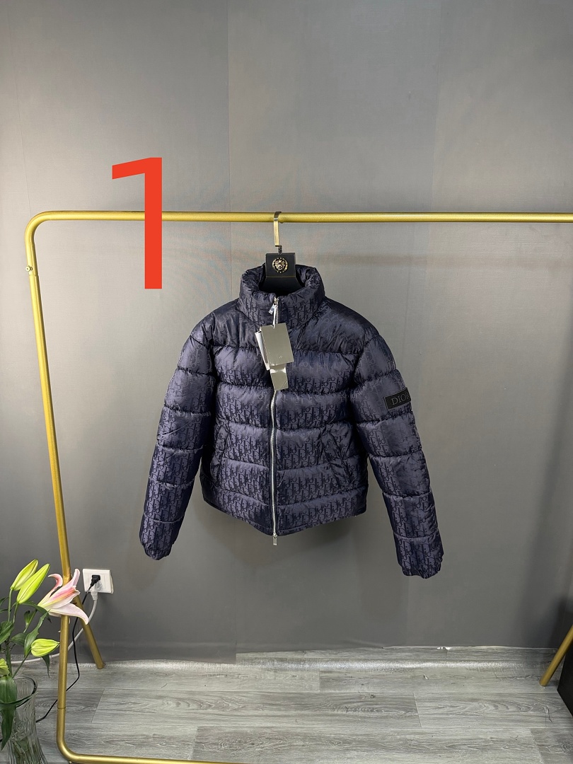 Dior Oblique Down Jacket · ZT14015 — תמונה 6