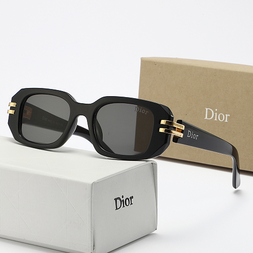 DIOR ZT12464