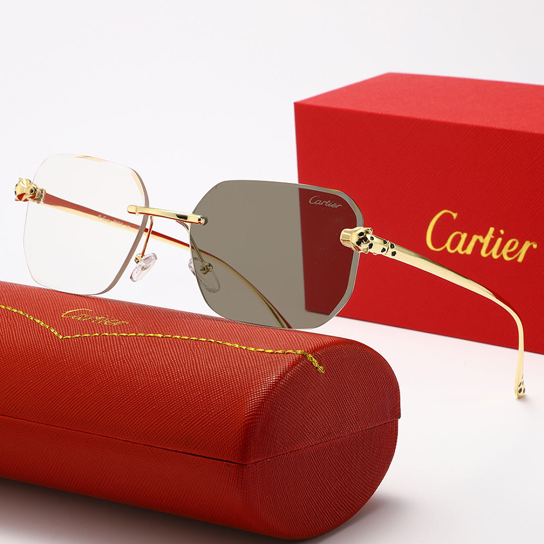 Panthère de Cartier · ZT13691 — תמונה 6