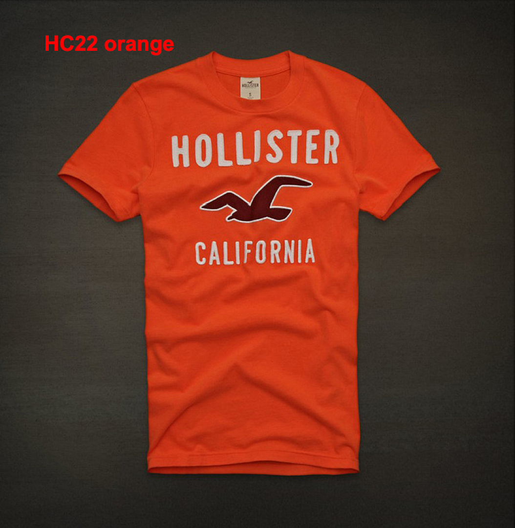 Hollister — טי שירט · A2273 — תמונה 9