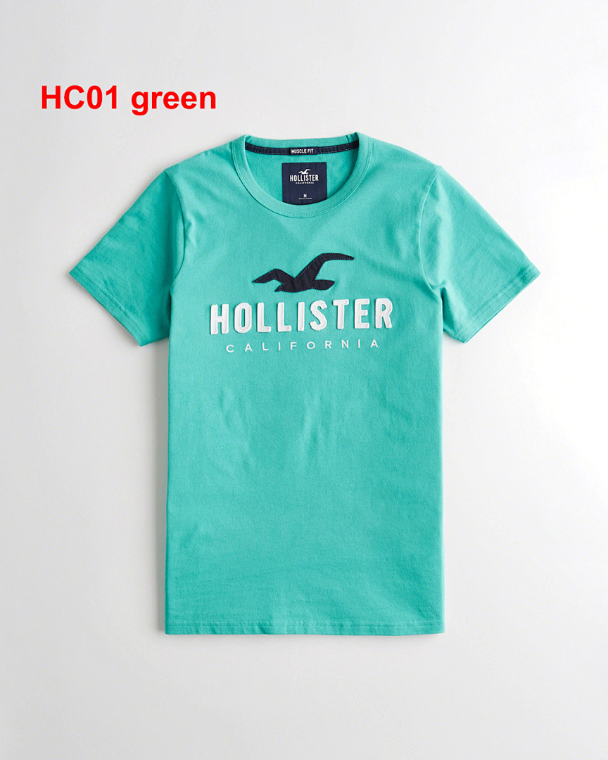 Hollister — טי שירט · A2273 — תמונה 30
