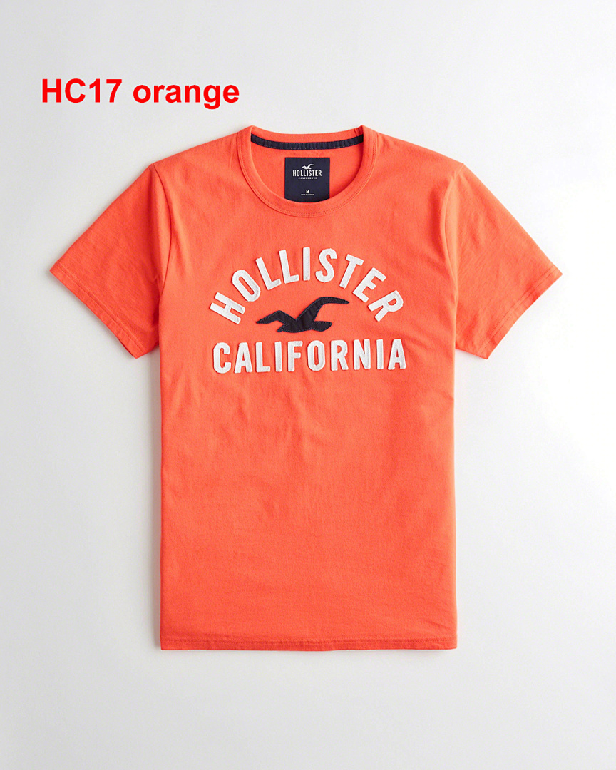 Hollister — טי שירט · A2273 — תמונה 13