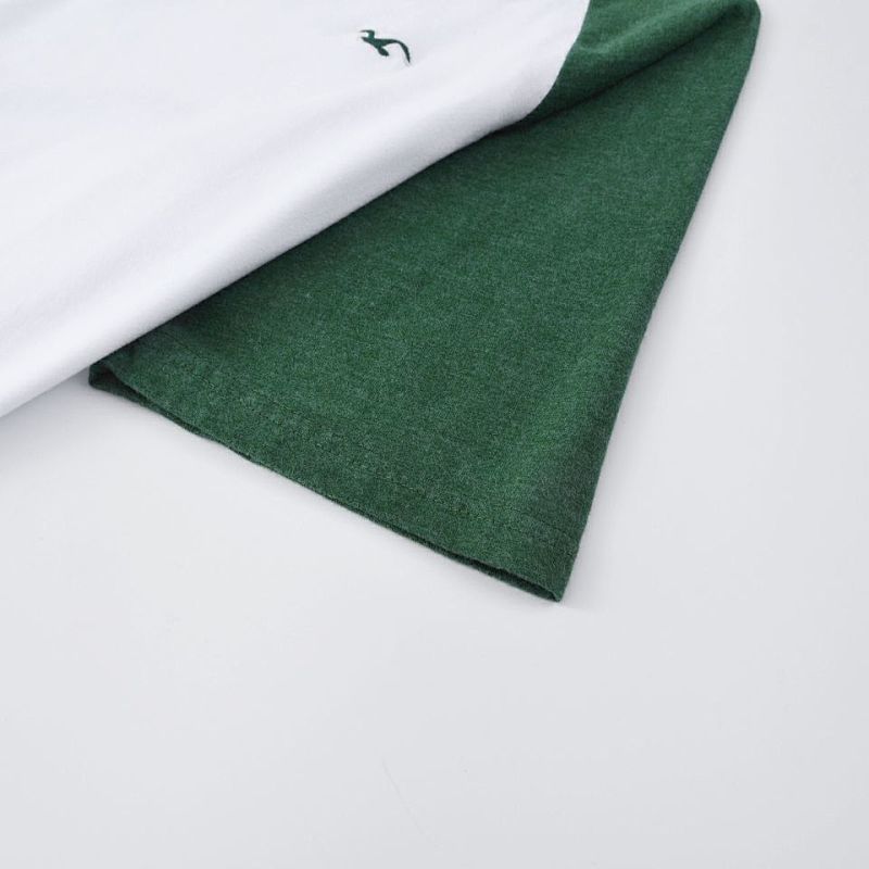 Hollister Logo Graphic Tee · A2282 — תמונה 34