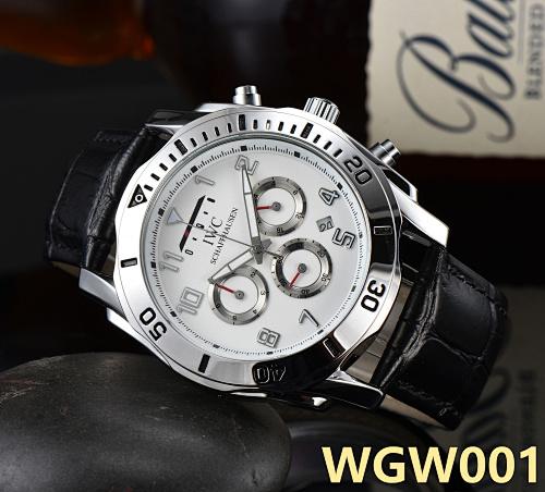 WGW1 IWC