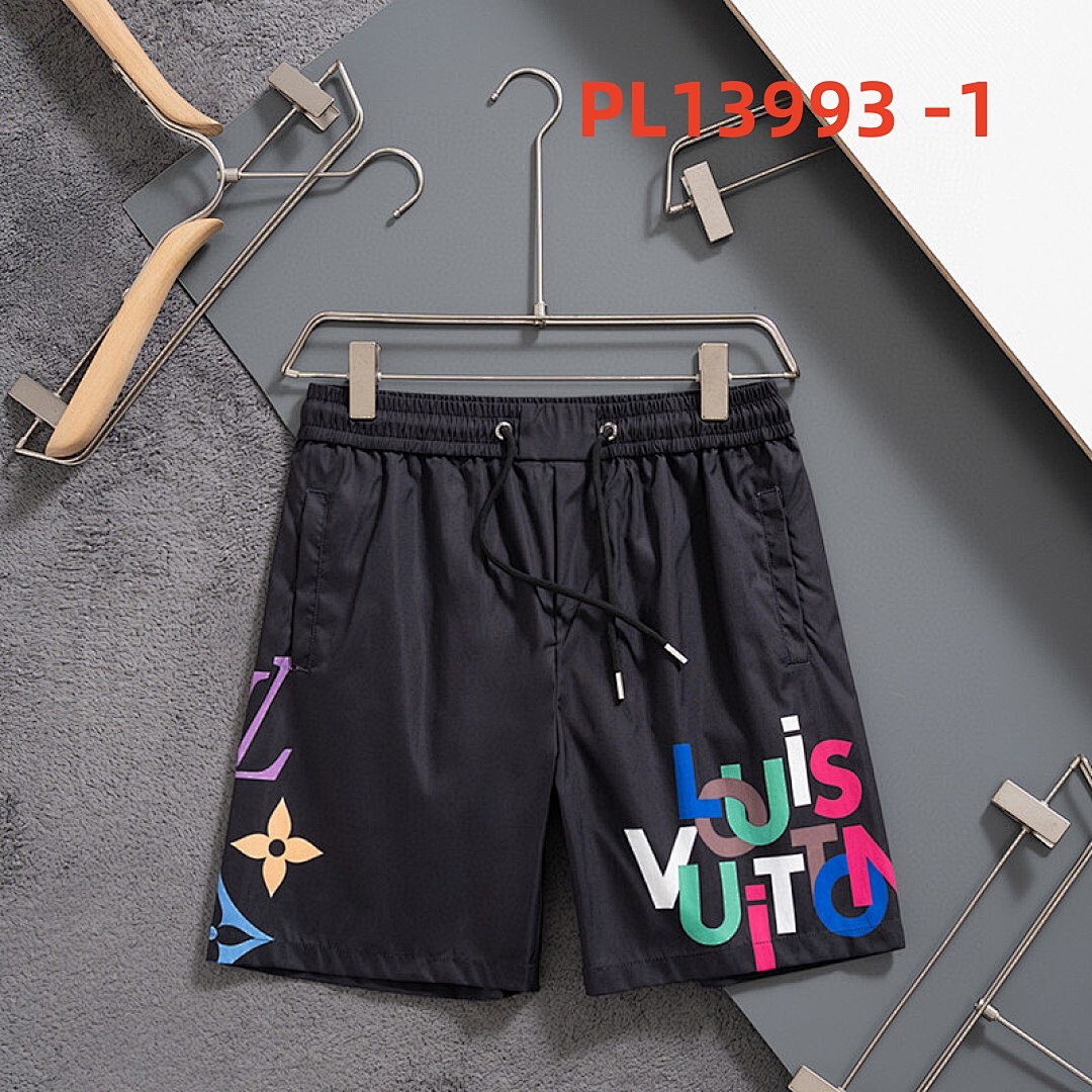 lv PL13993