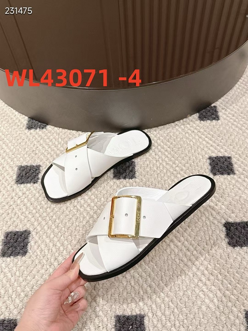 loewe WL43071