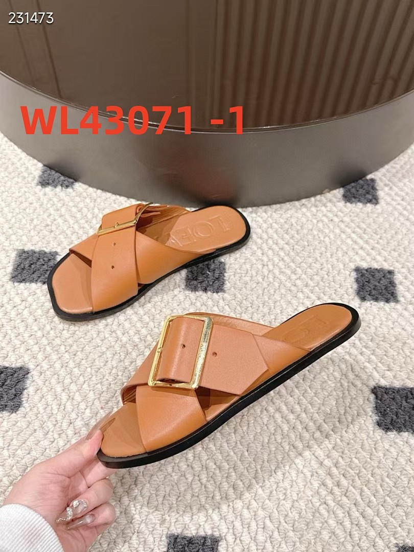 loewe WL43071