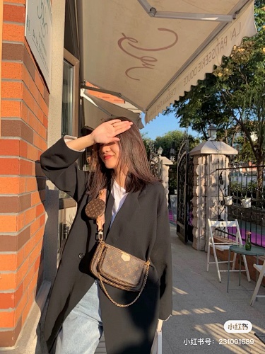 Louis Vuitton Multi Pochette Accessoires · 4860