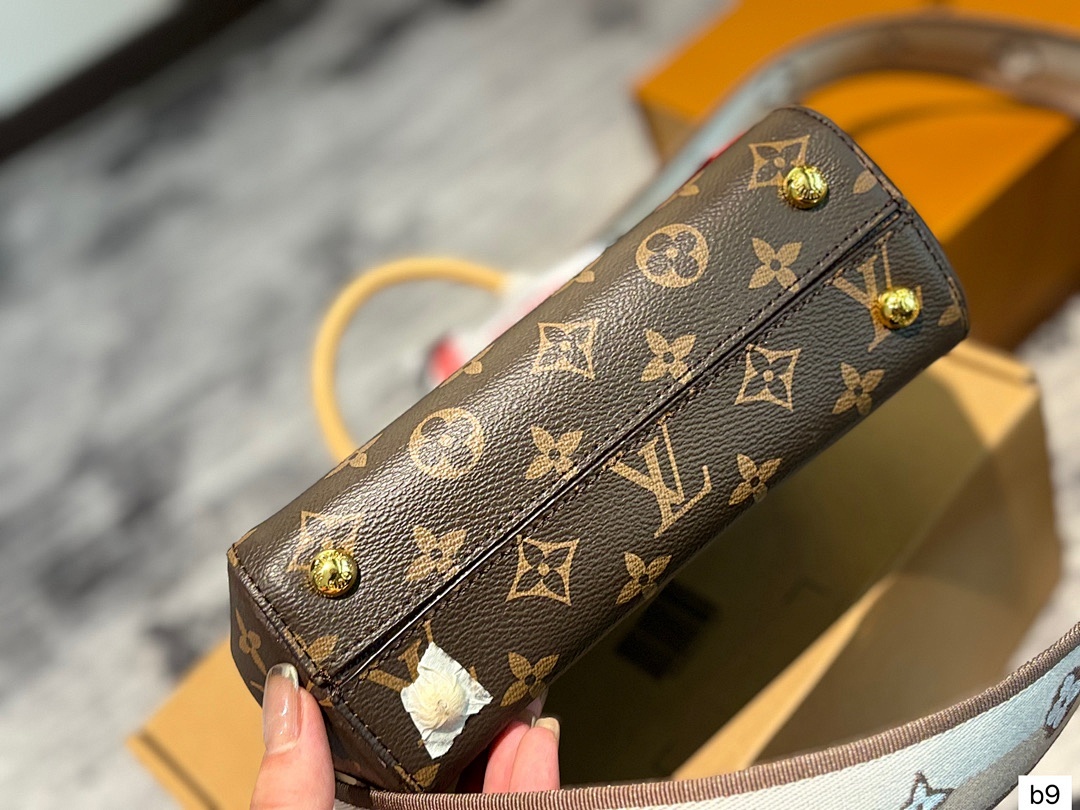 Louis Vuitton Cluny Mini Monogram · 4943 — תמונה 3