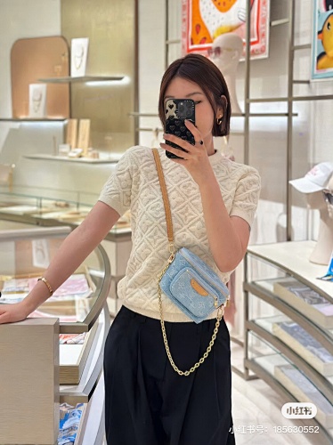 Louis Vuitton Mini Bumbag · 4801