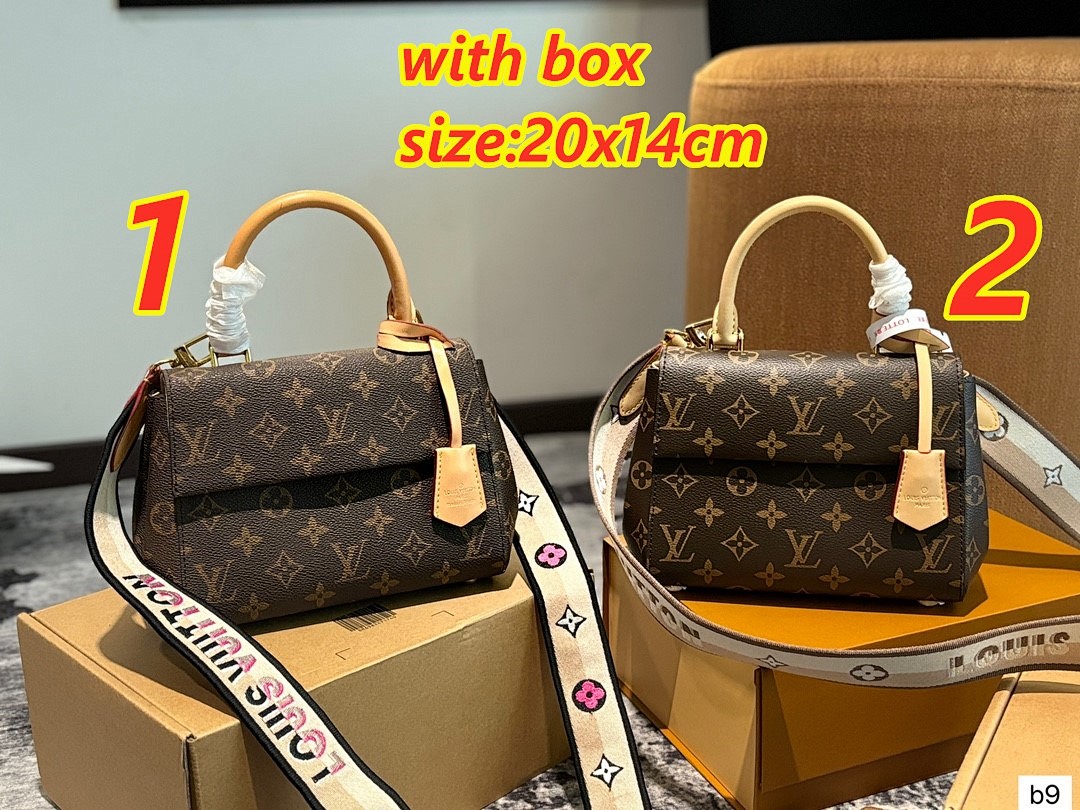 Louis Vuitton Cluny Mini Monogram · 4943