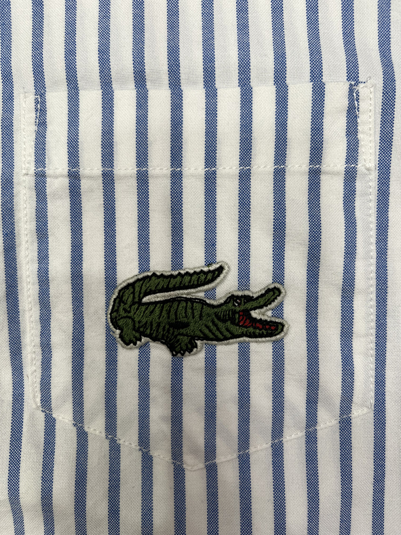 Lacoste Regular Fit Striped Oxford Shirt · A2310 — תמונה 10