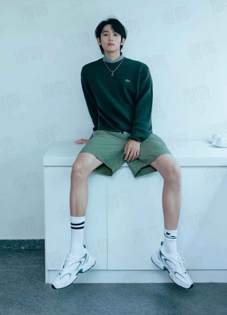 Lacoste Men's Crew Neck Cotton Sweater · A3472 — תמונה 19