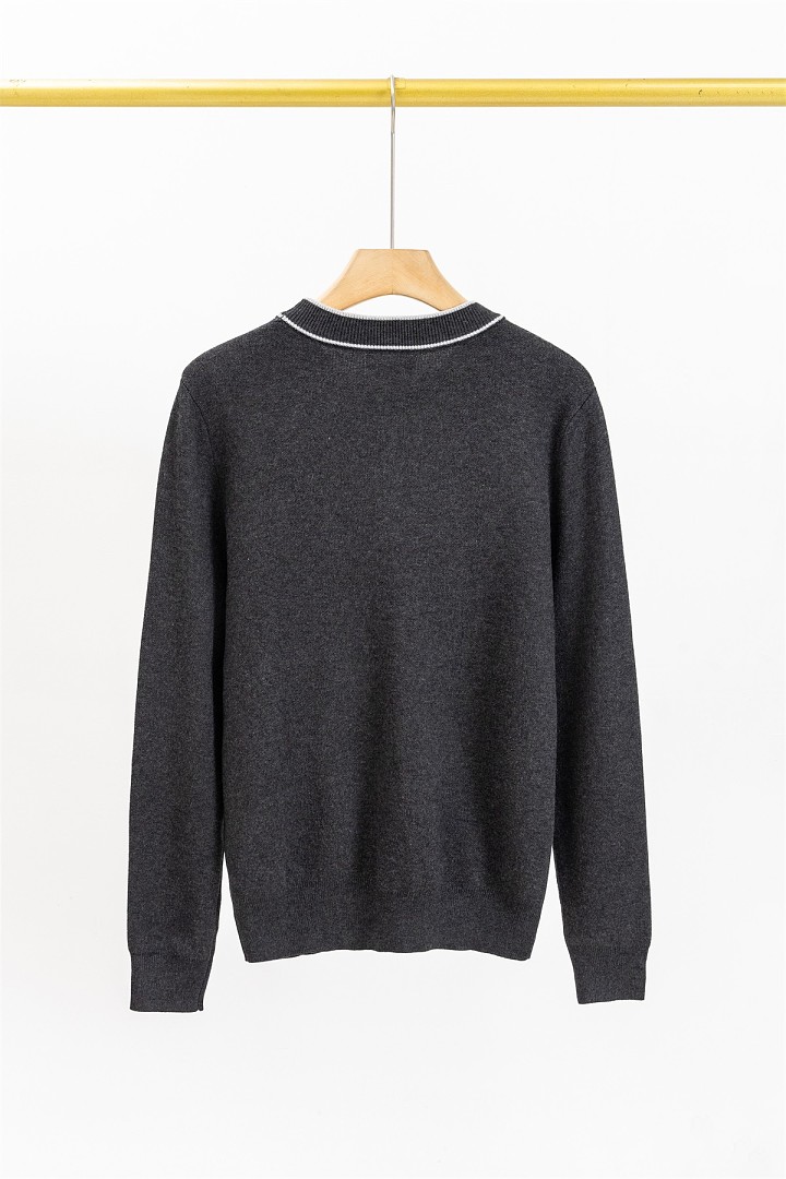 Lacoste Men's Crew Neck Cotton Sweater · A3472 — תמונה 14