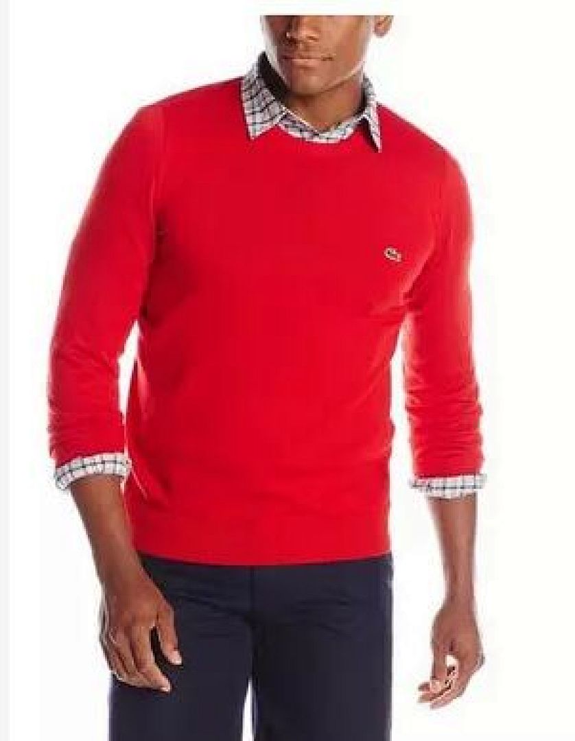Lacoste Crew Neck Cotton Sweater · A241 — תמונה 6