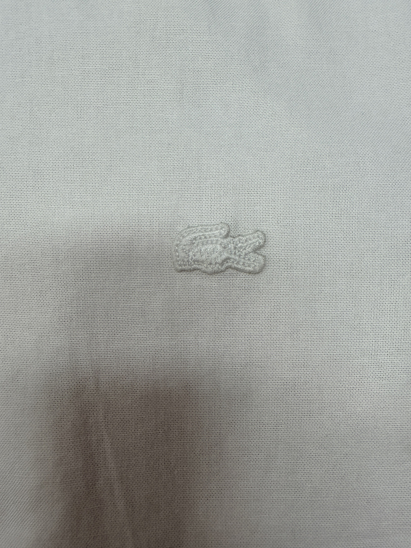 Lacoste Regular Fit Short Sleeve Oxford · A3150 — תמונה 8