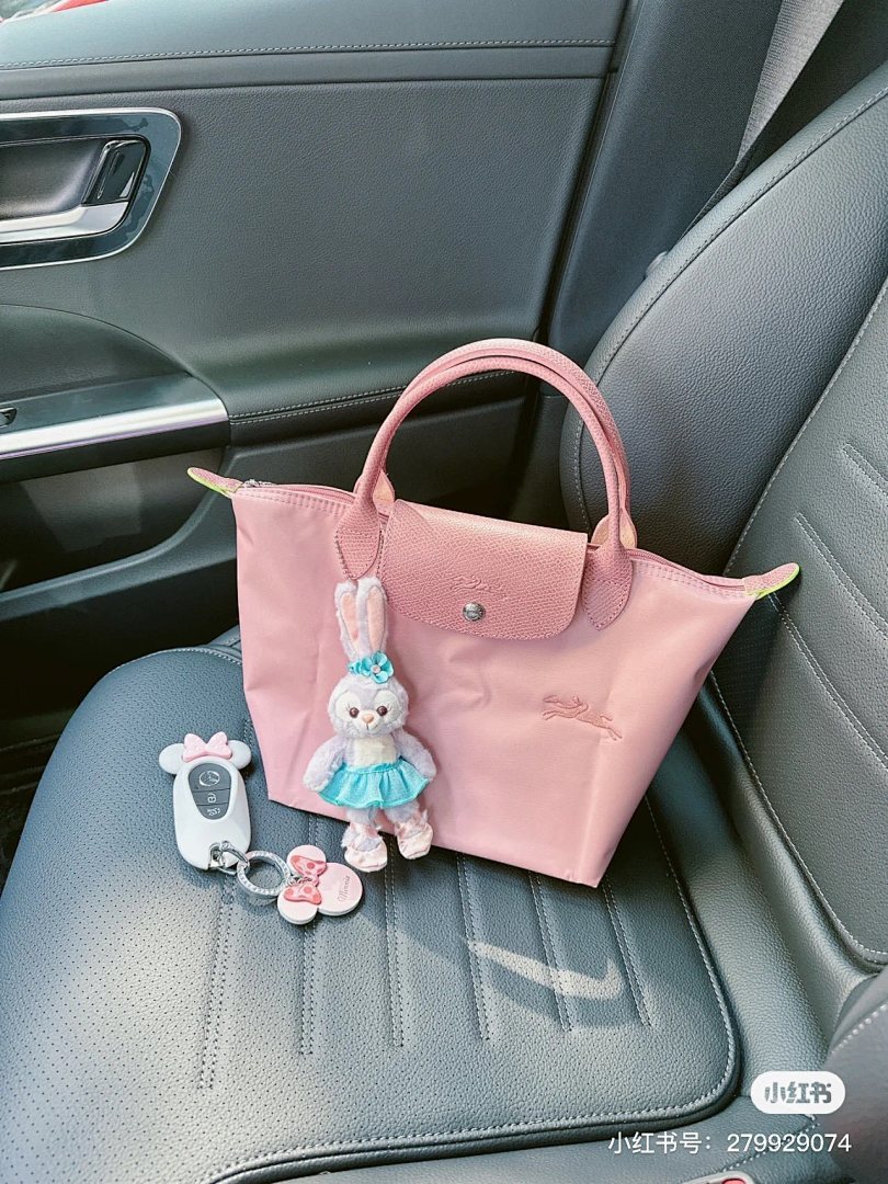 Longchamp-HE5275
