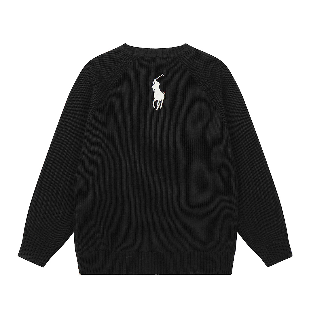 Polo Ralph Lauren Logo Sweater · A2940 — תמונה 6