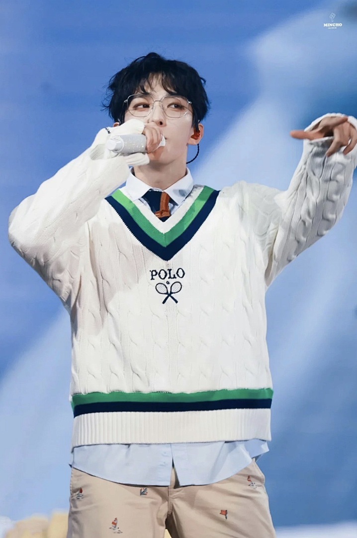 Polo Ralph Lauren Wimbledon Cricket Sweater · A2935 — תמונה 5