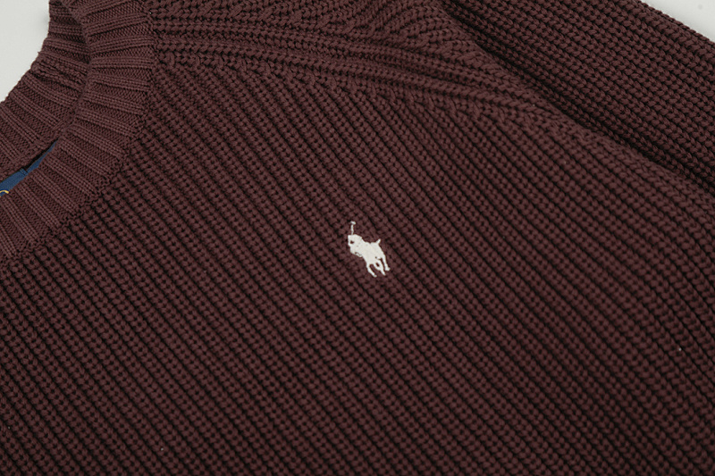 Polo Ralph Lauren Logo Sweater · A2940 — תמונה 33