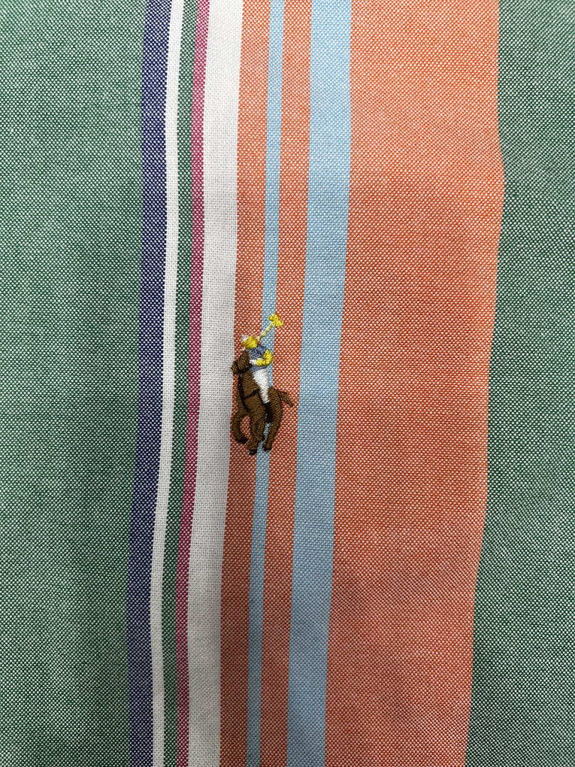 Ralph Lauren Classic Fit Striped Oxford Shirt · A2353 — תמונה 6