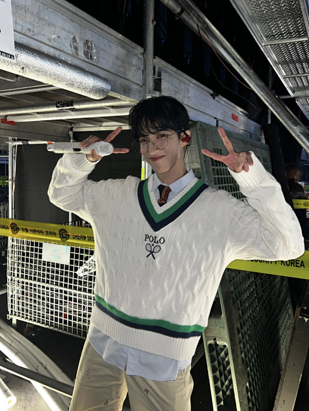 Polo Ralph Lauren Wimbledon Cricket Sweater · A2935 — תמונה 14