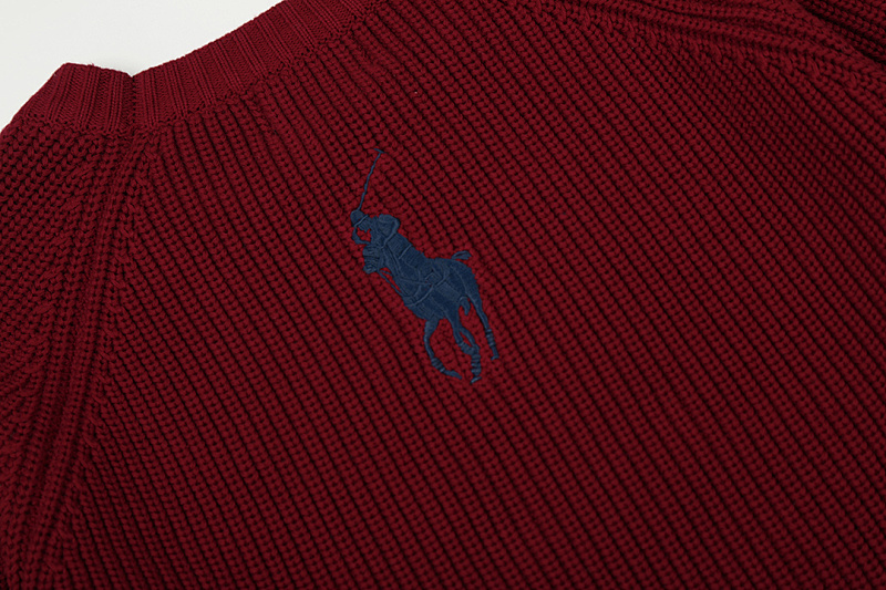 Polo Ralph Lauren Logo Sweater · A2940 — תמונה 55