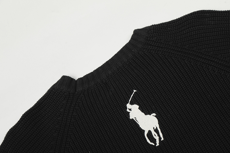 Polo Ralph Lauren Logo Sweater · A2940 — תמונה 5